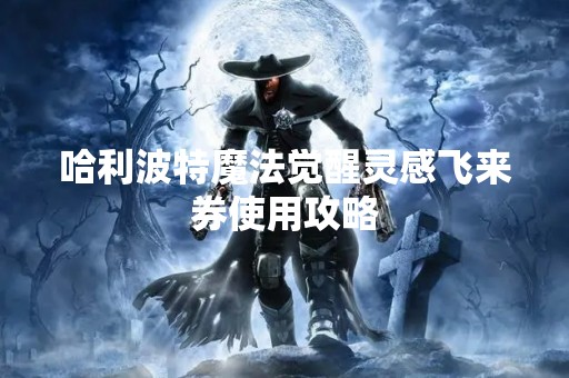 哈利波特魔法觉醒灵感飞来券使用攻略