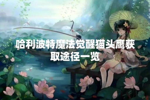 哈利波特魔法觉醒猫头鹰获取途径一览