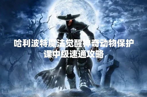 哈利波特魔法觉醒神奇动物保护课中级速通攻略