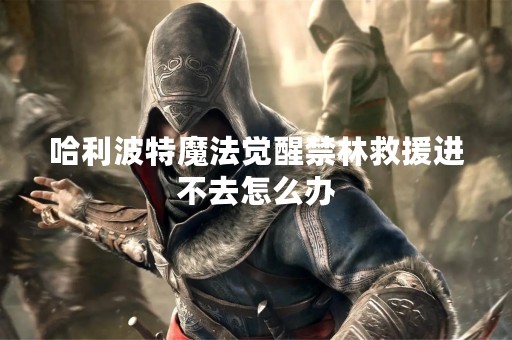 哈利波特魔法觉醒禁林救援进不去怎么办