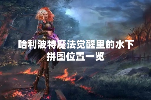 哈利波特魔法觉醒里的水下拼图位置一览