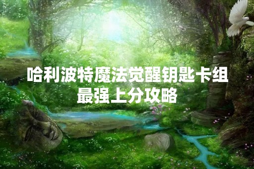 哈利波特魔法觉醒钥匙卡组最强上分攻略