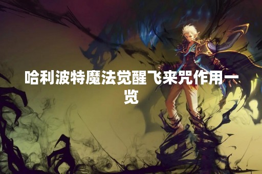 哈利波特魔法觉醒飞来咒作用一览