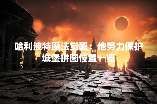哈利波特魔法觉醒：他努力保护城堡拼图位置一览