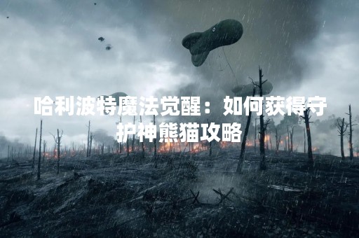 哈利波特魔法觉醒：如何获得守护神熊猫攻略