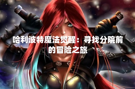 哈利波特魔法觉醒：寻找分院前的冒险之旅
