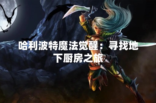 哈利波特魔法觉醒：寻找地下厨房之旅