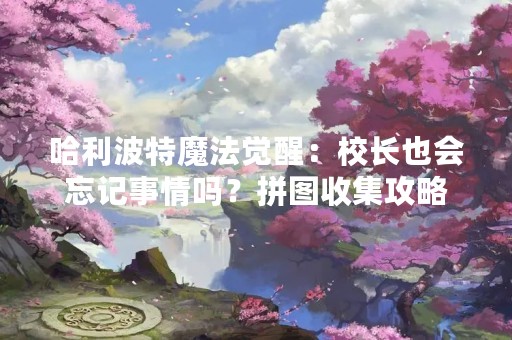 哈利波特魔法觉醒：校长也会忘记事情吗？拼图收集攻略