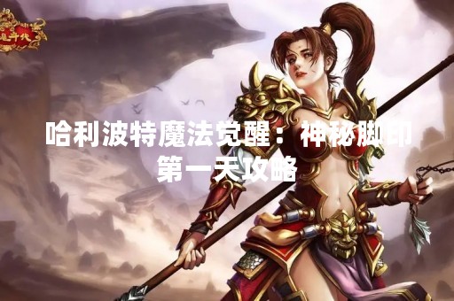 哈利波特魔法觉醒：神秘脚印第一天攻略