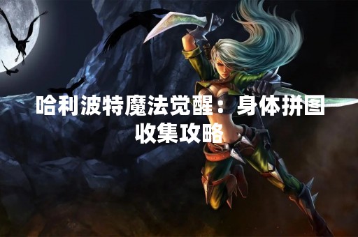 哈利波特魔法觉醒：身体拼图收集攻略
