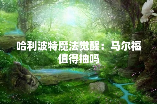 哈利波特魔法觉醒：马尔福值得抽吗