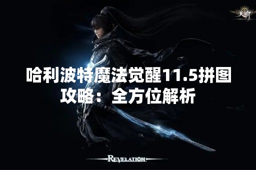 哈利波特魔法觉醒11.5拼图攻略：全方位解析
