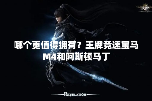 哪个更值得拥有？王牌竞速宝马M4和阿斯顿马丁