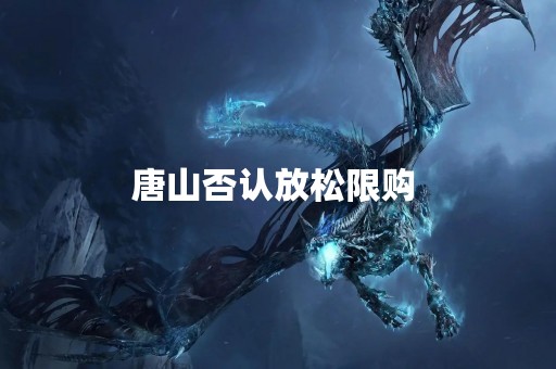唐山否认放松限购 