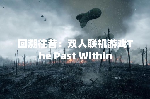 回溯往昔：双人联机游戏The Past Within