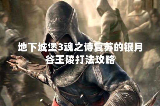 地下城堡3魂之诗复苏的银月谷王陵打法攻略