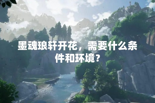 墨魂琅轩开花，需要什么条件和环境？