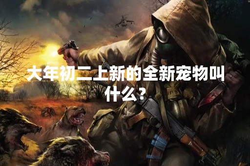 大年初二上新的全新宠物叫什么？