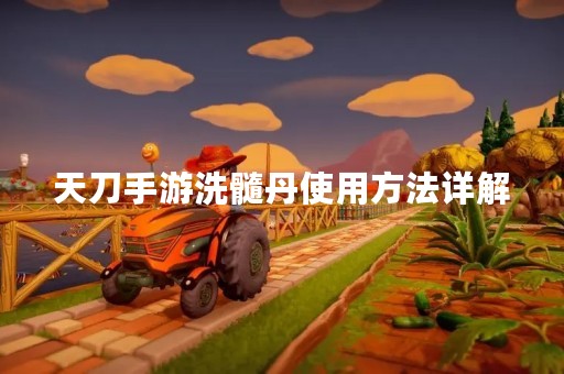 天刀手游洗髓丹使用方法详解