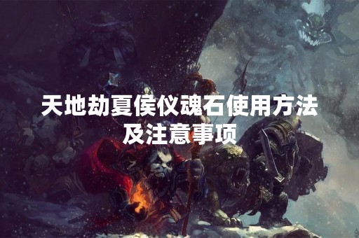天地劫夏侯仪魂石使用方法及注意事项