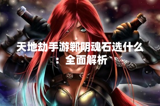 天地劫手游郸阴魂石选什么：全面解析