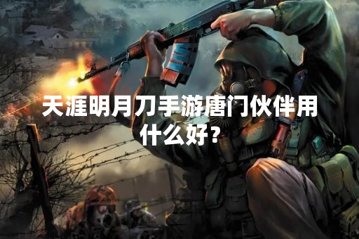 天涯明月刀手游唐门伙伴用什么好？