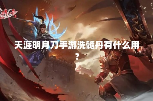 天涯明月刀手游洗髓丹有什么用？