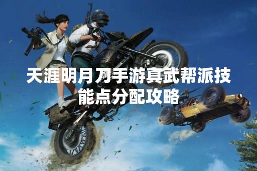 天涯明月刀手游真武帮派技能点分配攻略