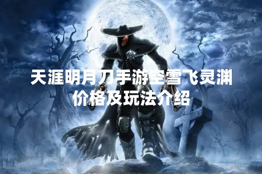 天涯明月刀手游空雪飞灵渊价格及玩法介绍