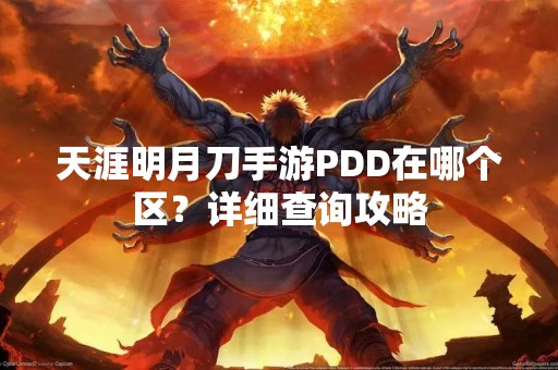 天涯明月刀手游PDD在哪个区？详细查询攻略