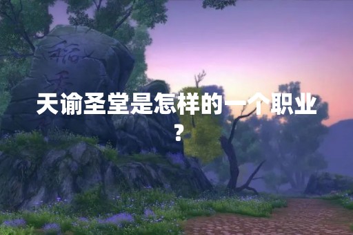 天谕圣堂是怎样的一个职业？