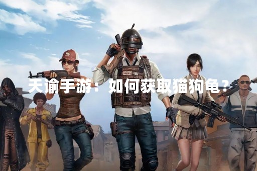 天谕手游：如何获取猫狗龟？