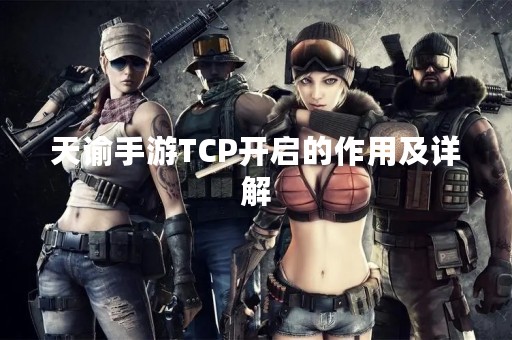 天谕手游TCP开启的作用及详解