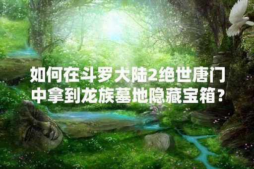如何在斗罗大陆2绝世唐门中拿到龙族墓地隐藏宝箱？