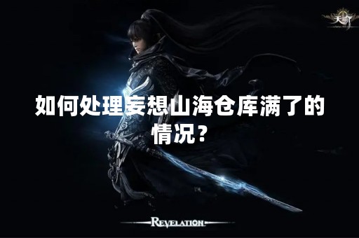 如何处理妄想山海仓库满了的情况？