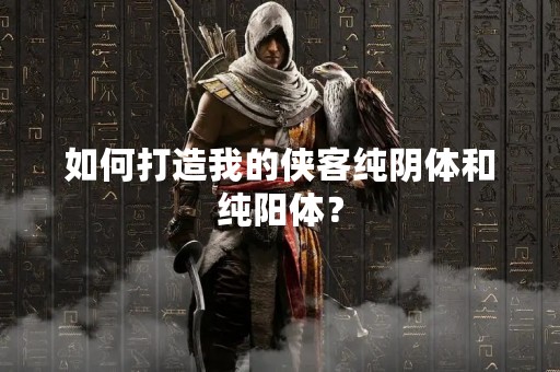如何打造我的侠客纯阴体和纯阳体？