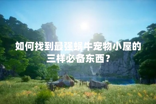 如何找到最强蜗牛宠物小屋的三样必备东西？
