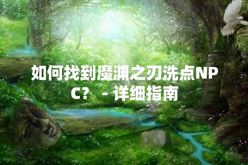 如何找到魔渊之刃洗点NPC？ - 详细指南
