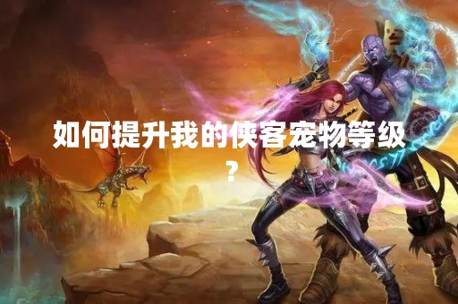如何提升我的侠客宠物等级？