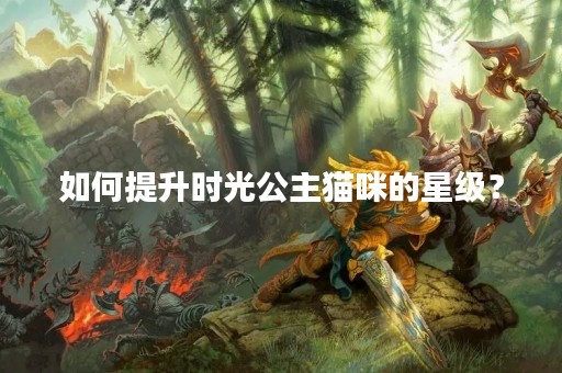 如何提升时光公主猫咪的星级？