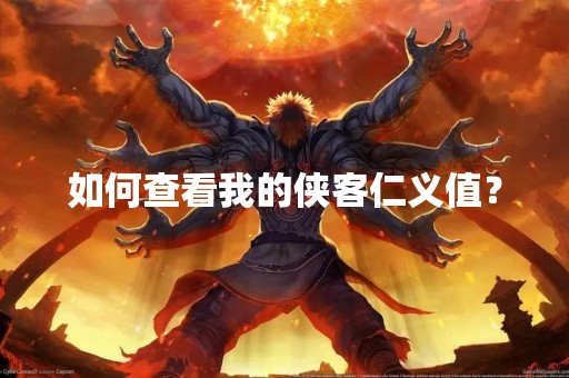 如何查看我的侠客仁义值？