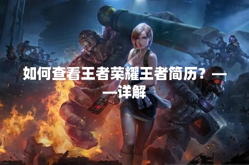 如何查看王者荣耀王者简历？——详解