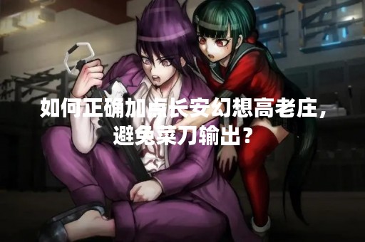 如何正确加点长安幻想高老庄，避免菜刀输出？