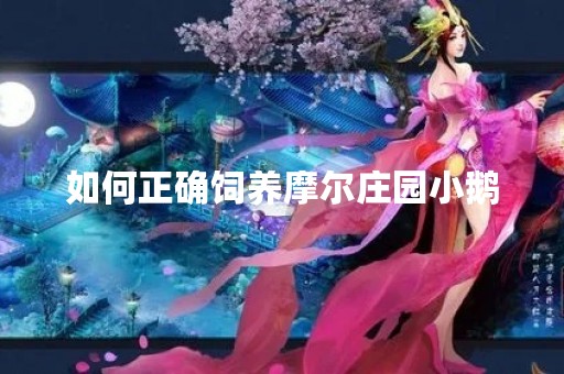 如何正确饲养摩尔庄园小鹅