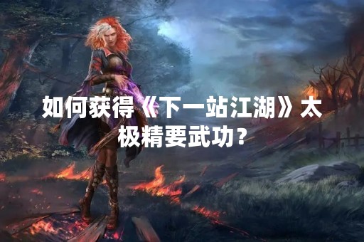 如何获得《下一站江湖》太极精要武功？