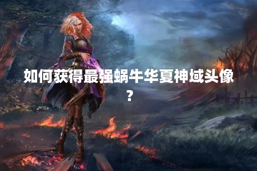 如何获得最强蜗牛华夏神域头像？