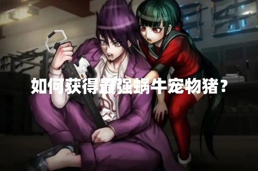 如何获得最强蜗牛宠物猪？