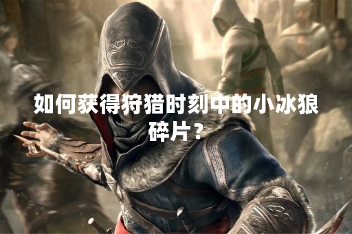 如何获得狩猎时刻中的小冰狼碎片？