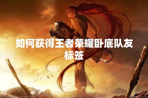 如何获得王者荣耀卧底队友标签