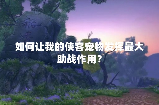 如何让我的侠客宠物发挥最大助战作用？
